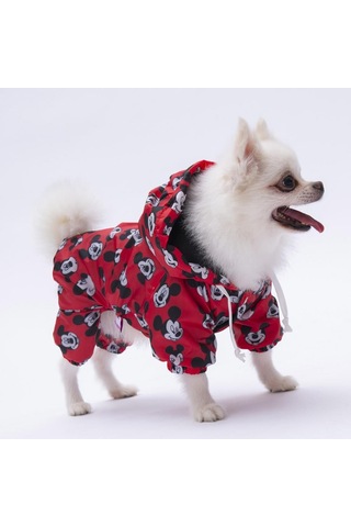 Pettrend Mickey Mouse Tulum Yağmurluk Köpek Kıyafeti Köpek Yağmurluğu