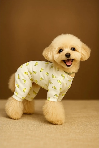 Best Golden Monkey Köpekler İçin Tulum "banana" 431287863