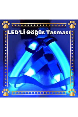 DailyLink Ayarlanabilir Reflektörlü Pet Köpek Göğüs Tasması Kemer Çok Renkli