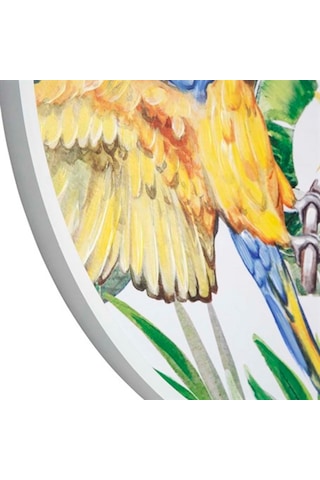 Vitale Pera Papağanlar Ahşap Tablo 80X80 Cm Ak.Fw0027