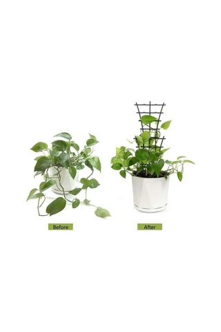 Qingmipy 2 Adet Yeşil Plastik Bitki Tutucu, Tomat Ve Tırmanan Sebzeler İçin, Bahçe Ve Sokağa Uygun, Montajsız Kullanım