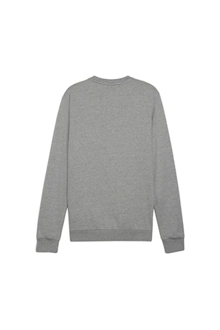 Puma Teamgoal Casuals Crew Neck Erkek Futbol Sweatshirts 65859233 Gri Gri