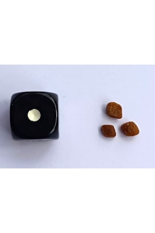 Homie Süper Premium Düşük Tahıllı Mother & Kitten Kuzu Etli Yavru Kedi Maması 12 KG