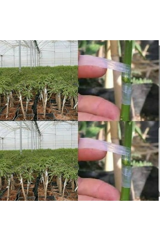 Gmt Kutulu Aşı Bandı 3 Adet