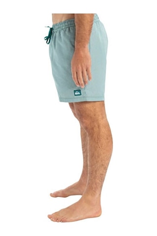 Quiksilver Everyday Deluxe Volley 15 Erkek Şort Mayo Eqyjv04101-21882 Yeşil Yeşil