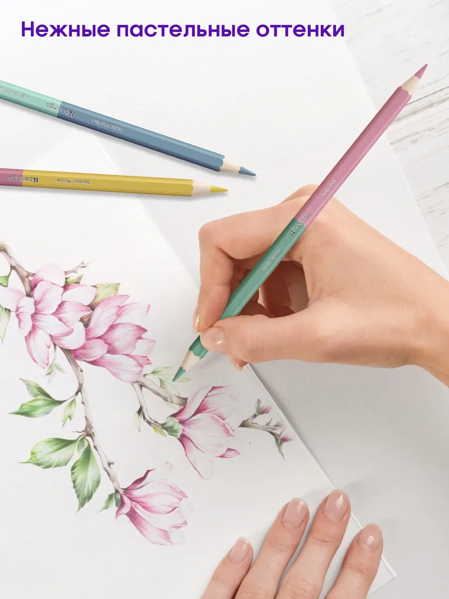 Berlingo Çift Taraflı Pastel Renkli Kalemler, 24 Renk 213826122 Gri