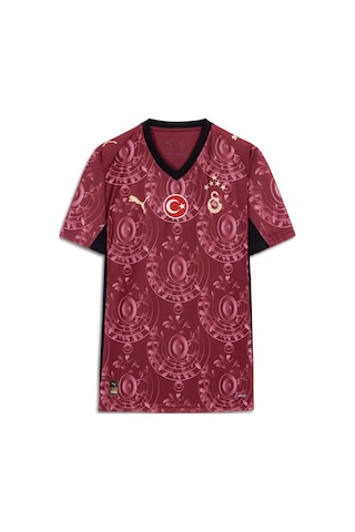 Galatasaray Puma 2025/2026 Alternatif Forma 77981303