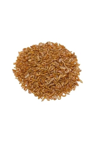 Kurutulmuş Gammarus Kaplumbağa Yemi 10 Gr
