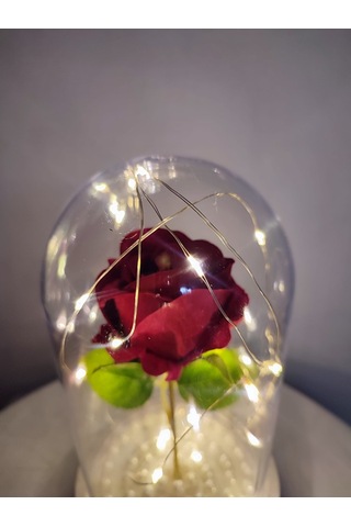 Tek Kırmızı Gül İşıklı Fanus