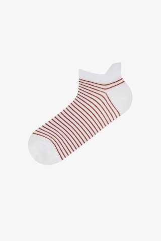 Penti Erkek Renkli Color Stripe 3 3'lü Patik Çorap