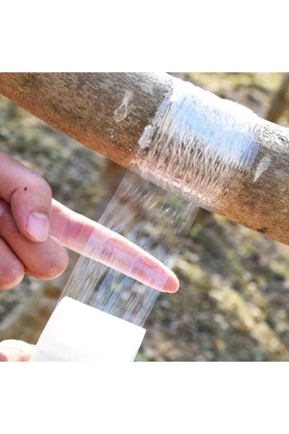 5 Cm X 200 Metre Aşı Streçi - Profesyonel Fidan Ve Ağaç Aşı Bandı