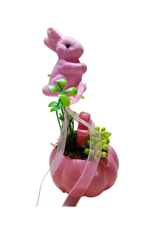 Neolife Yeni Doğan Kız Bebek Hediyesi Aramıza Hoş Geldin Hediyesi Sevimli Tavşancık Detaylı Kabak Teraryum