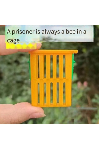 Xurunkeji Yeni Kraliçe Arı Kafesi Arıcı Plastik Arı İzolatör Klipsi Arıcı Yetiştirme Aletleri İç Ve Dış Mekan Kullanımı İçin