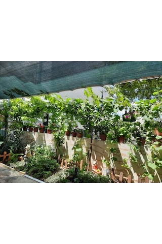 Morilu Bahçe Gölgelik File - 55'lik Yeşil Çit Filesi - Şeritli Halkalı - Tarım Filesi