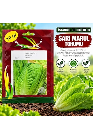 Sarı Marul Tohumu 10 Gr