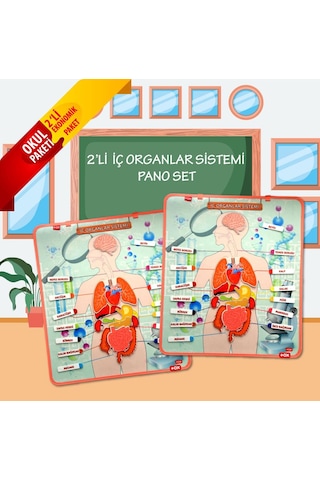 2 Set - 52 Parça Tox Iç Organlar Sistemi Keçe Duvar Panoları . Eğ