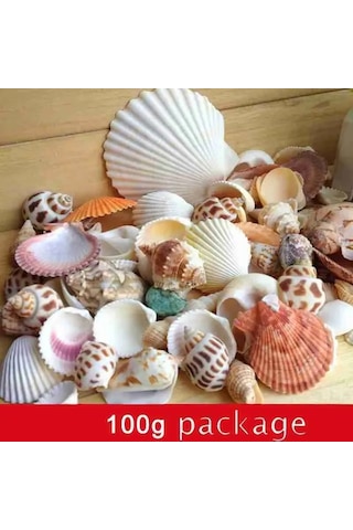 Dofolink 100g Doğal Deniz Kabukları - Akvaryum, Bahçe, Foto Çerçevesi Ve Su Flakonları İçin Dekoratif Dıy Malzeme 30-35 Adet