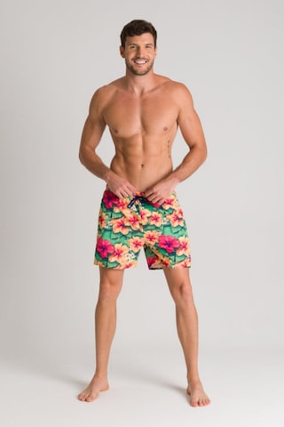 Arena Sashay Boxer Erkek Deniz Şortu 003023670 Çok Renkli