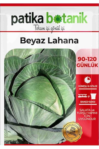 250 Adet Beyaz Lahana Tohumu Yalova