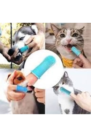 Kedi & Köpek Diş Fırçası Pratik Silikon Parmak Fırça Plak Tartar Diş Eti Bakımı