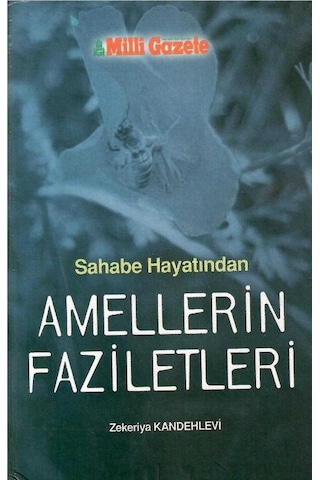 Sahabe Hayatından Amellerin Faziletleri - Zekeriyya Kandehlevi