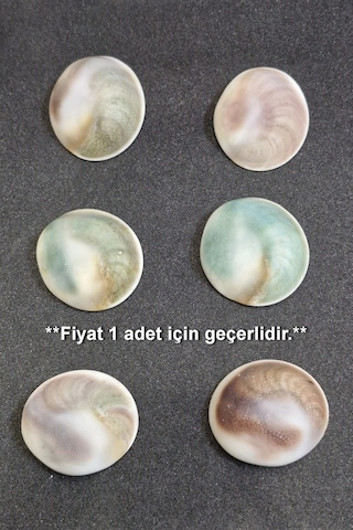 Büyük Boy Doğal Yılancık Taşı Operculum 222y