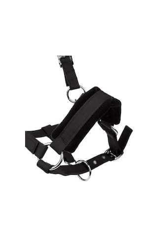 Suntek Kalınlaşmak Midilli At Boyundan Bağlamalı Baş Yaka At Çok Renkli