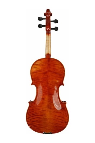 Kinglos Phc-va1004 15,5" Akustik Viyola