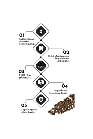 Pro Performance Kuzulu Ve Yaban Mersinli Küçük Irk Yavru Köpek Maması 12 Kg 124-10022.06