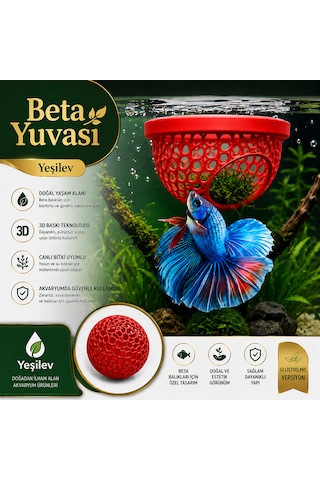 Beta Balığı Kırmızı Betta Dinlenme Alanı & Üretim Yuvası