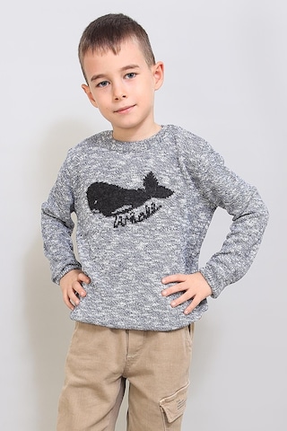 Alexandergardı Çocuk Desenli Triko Kazak C19-ag50384 Gri