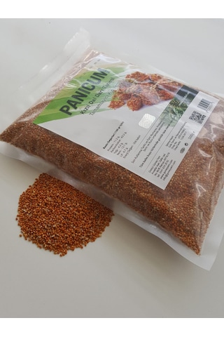 Kızıl Dal Darı Tanesi̇ 500 Gr Pani̇cum