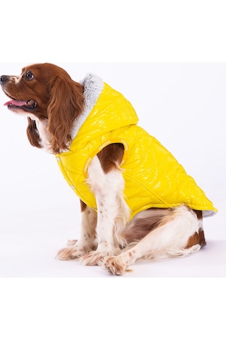 Pawstar Sarı Light Wave Anorak Yelek Köpek Yeleği