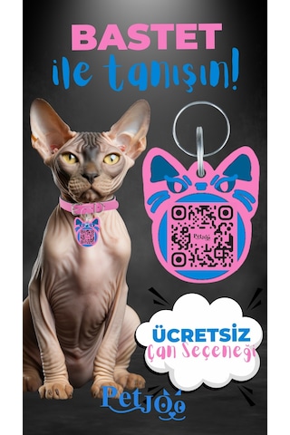 Petjoo 1.Bastet Mavi-Pembe Qr'lı Kedi Künyesi