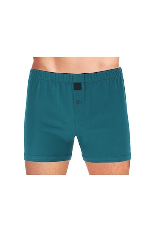 The Don Petrol Yeşili Renk Jersey Penye/Örme Boxer