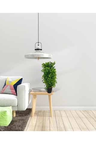 Yapay Çiçek Siyah Saksıda Yeşil Şimşir Ağacı 50cm