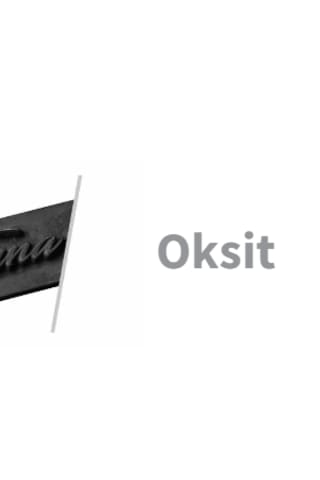 DEKORATİF ANTİK OKSİT PİRİNÇ KAPI KULPU KAPI ÇEKME KOLU 20CM