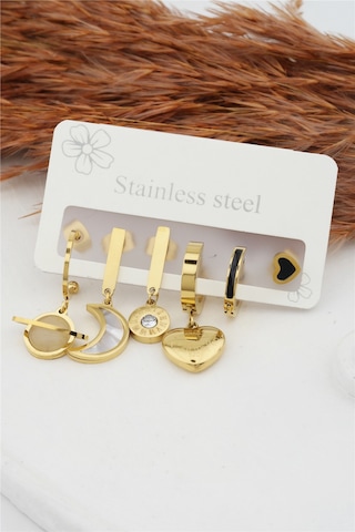 Kadın Kararmaz 6'Lı Kalp Figürlü Çelik Set Küpe Altın-M N11.698