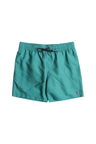 Billabong All Day Lb Erkek Şort Ebyjv00134-2305 Yeşil-yeşil