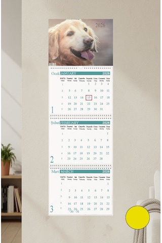 2026 Duvar Takvimi Köpek Resimli 3 Aylık Gemici Takvimi Hayvan Resimli Jumbo Boy Askılı Spiralli Takvim Yeni Yıl Takvim