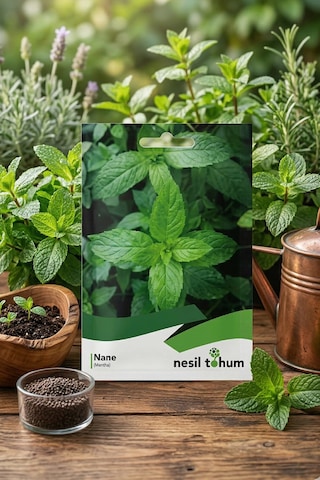 Nesil Tohum Nane Mentha Tohumu 10 Gr