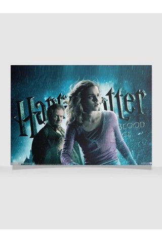 Hp Tasarımlı 24 33 Cm 350 Gr. Kuşe Kağıt Poster Pytkpstras038