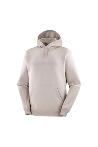 Salomon Salomon Bıg Logo Hoodıe M 55112 Çok Renkli