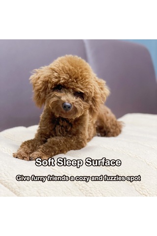Moveevo Kedi/köpek Termal Kuzu Yünü Yatağı - Ev & Araç İçin Kaydırmaz Tabanlı Sıcak Ped
