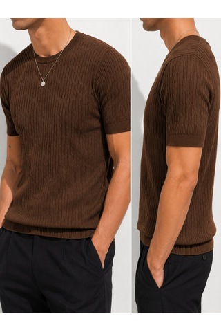 Ribana Erkek Kısa Kollu Bisiklet Yaka Esnek T-shirt 26022 Kahverengi