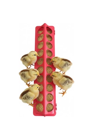 Bıldırcın Civciv Yemlik 50cm