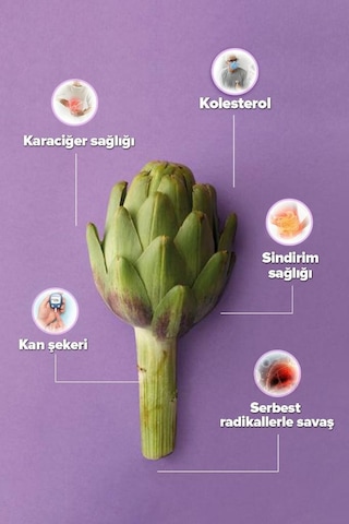 Zühre Ana Ekstraktlı Enginar Suyu 500 ML