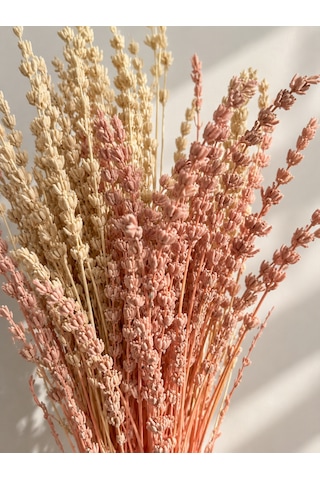Pastel Renkli Kurutulmuş Dekoratif Lavanta Buketi Krem - pembe