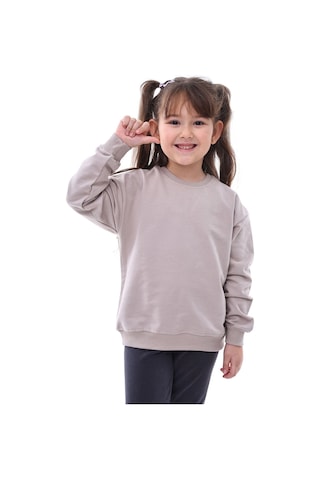 Zuzunga Basic Düz Renk Vizon Fırçalı Yumuşak Pamuk Sweatshirt