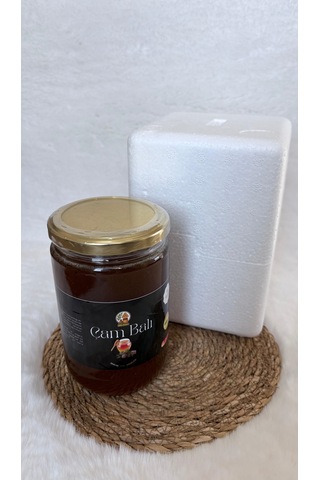 Bal 850 Gram Çam Balı